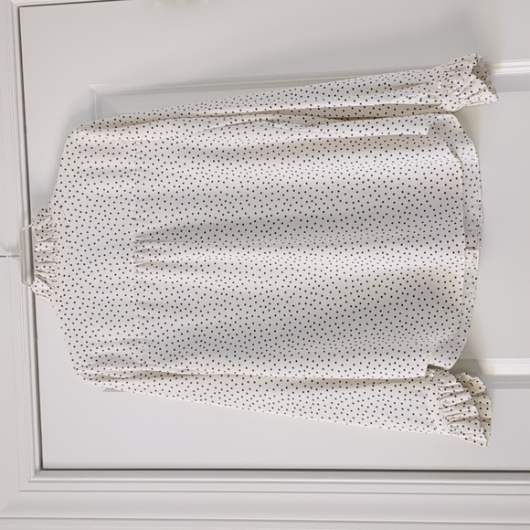 Talbots - Ruffle Trim Blouse - Polka Dot - Picture 4 of 11